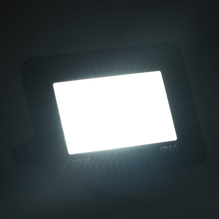 LED prožektoriai, 2vnt., šaltos baltos spalvos, 30W
