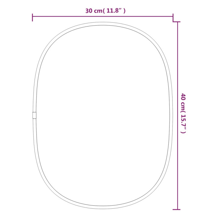 Sieninis veidrodis, sidabrinės spalvos, 40x30cm