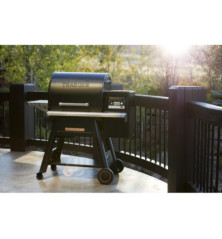 Granulinis grilis Traeger Timberline 850