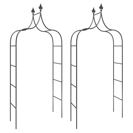 Sodo arkos, 2vnt., juodos spalvos, 120x38x260cm, plienas