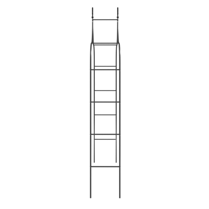 Sodo arkos, 2vnt., juodos spalvos, 120x38x260cm, plienas