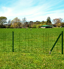 Euro tvoros komplektas, žalias, 10x1m, plienas