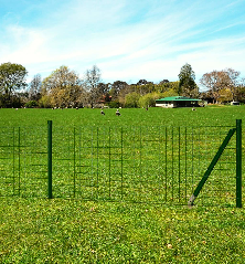 Euro tvoros komplektas, žalias, 25x1,2m, plienas