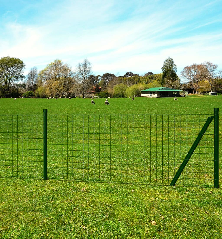 Euro tvoros komplektas, žalias, 10x0,8m, plienas