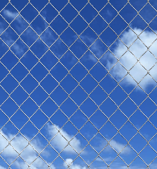 Tinklinė tvora su smaigais, cinkuotas plienas, 25x0,8m