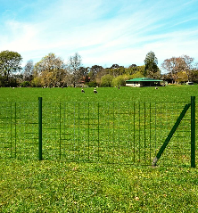 Euro tvora, žalia, 10x1,2m, plienas