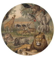 WallArt Tapetai Animals of Africa, 190cm, apskriti