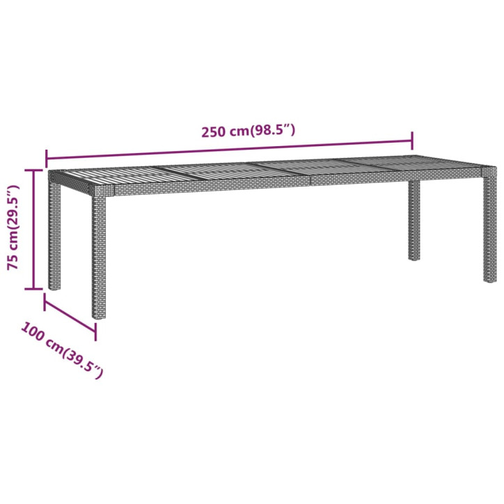 Sodo stalas, pilkos spalvos, 250x100x75cm, poliratanas