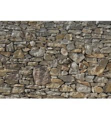 Komar Foto siena Stone Wall, 368x254 cm