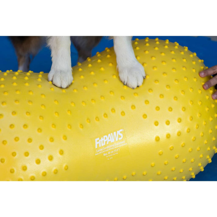 FitPAWS Balansinė platforma augintiniams Trax Peanut, geltona, 40cm