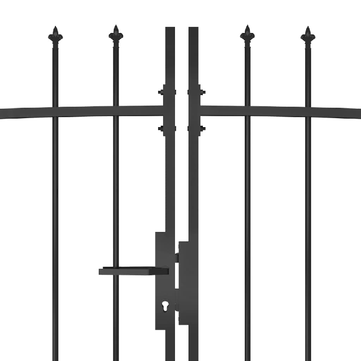 Sodo vartai su iečių viršugaliais, juodos spalvos, 5x2,45m