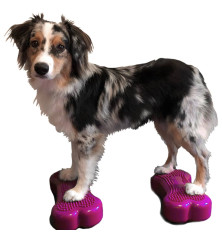 FitPAWS Balansinės platformos Mini K9FITbone, 2vnt., 29x16,5x6cm