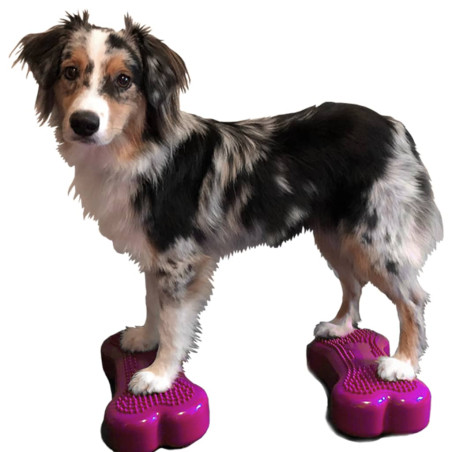 FitPAWS Balansinės platformos Mini K9FITbone, 2vnt., 29x16,5x6cm