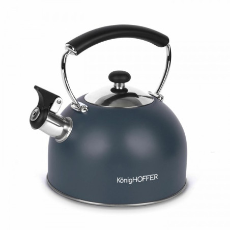 Arbatinukas met. 2.3L su švilpuku indukc MORENA GR