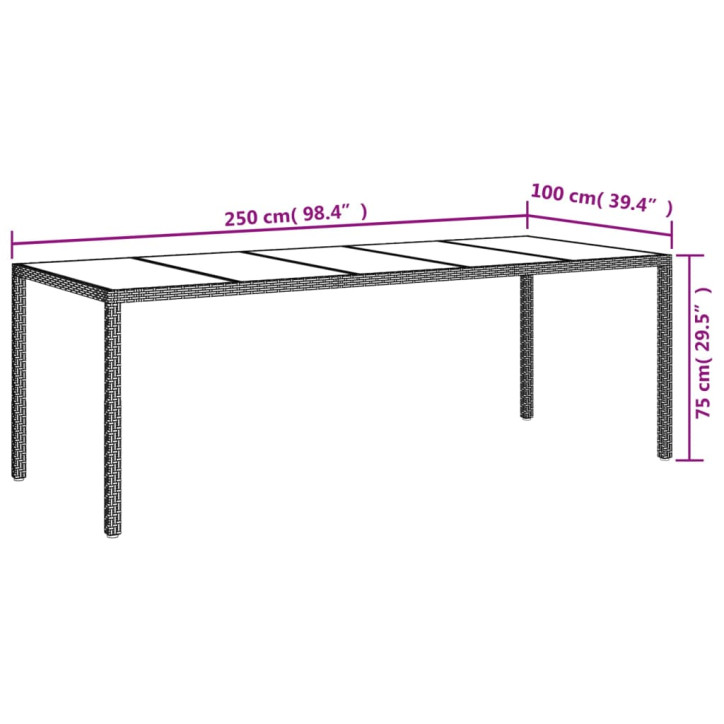 Sodo stalas, baltas, 250x100x75cm, poliratanas ir stiklas