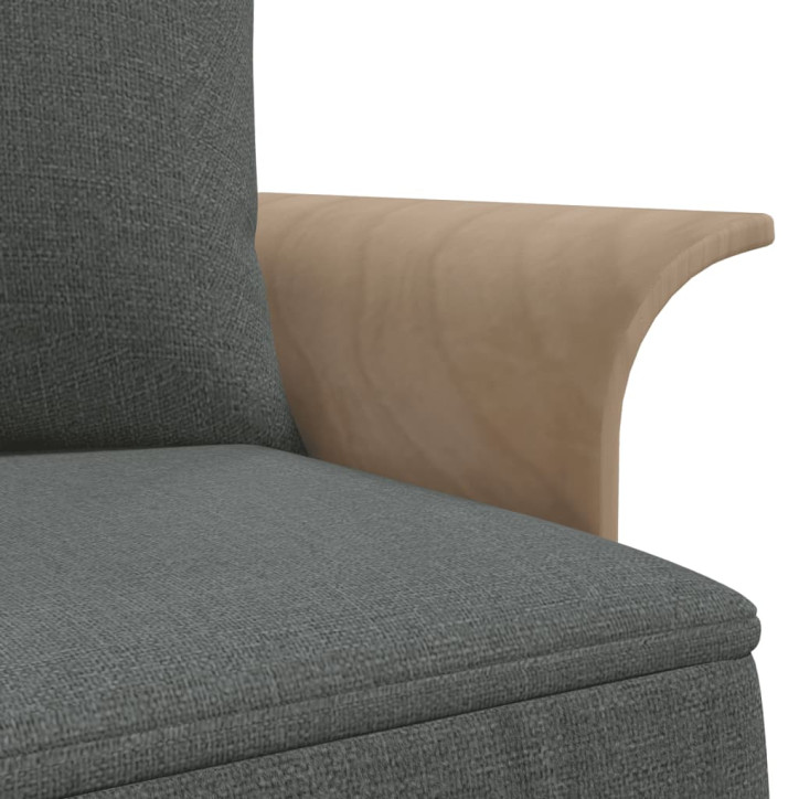 L formos sofa-lova, tamsiai pilka, 279x140x70cm, audinys