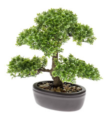 Emerald Dirbtinis fikusas, mini bonsai medis, žalias, 32cm, 420002