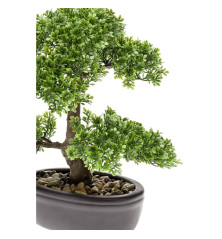 Emerald Dirbtinis fikusas, mini bonsai medis, žalias, 32cm, 420002