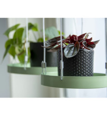 Esschert Design Pakabinamas padėklas augalams, žalias, apskritas, S