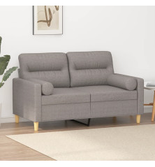 Dvivietė sofa su pagalvėlėmis, taupe spalvos, 120cm, audinys