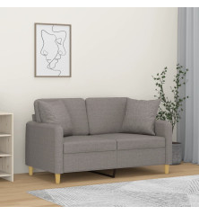 Dvivietė sofa su pagalvėlėmis, taupe spalvos, 120cm, audinys