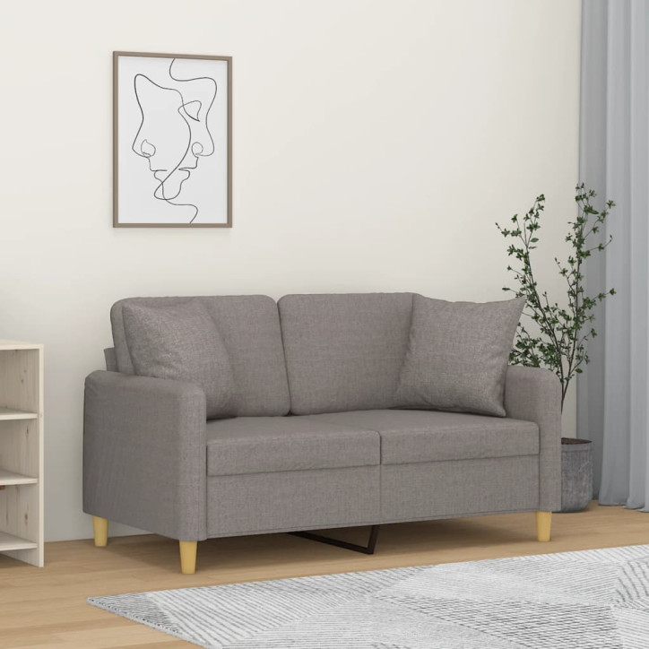 Dvivietė sofa su pagalvėlėmis, taupe spalvos, 120cm, audinys