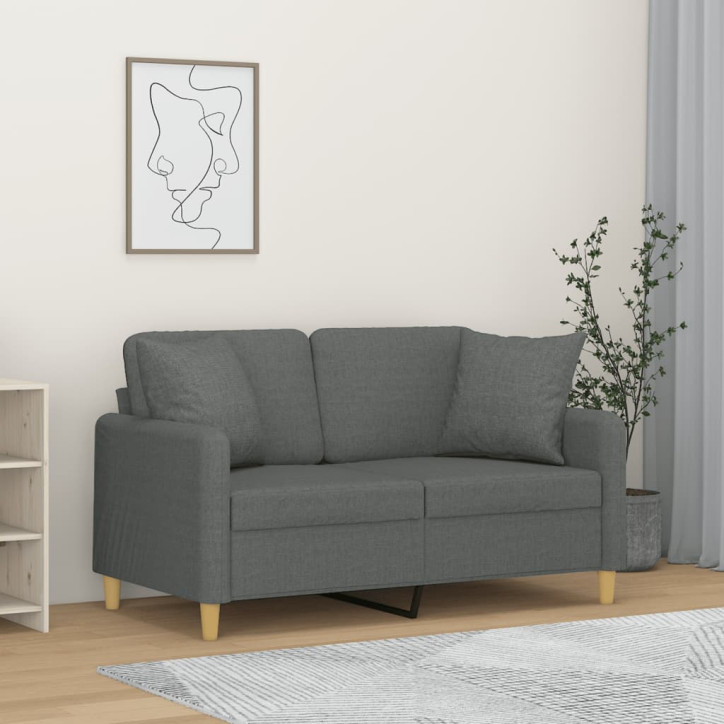 Dvivietė sofa su pagalvėlėmis, tamsiai pilka, 120cm, audinys