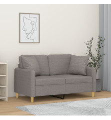 Dvivietė sofa su pagalvėlėmis, šviesiai pilka, 120cm, audinys