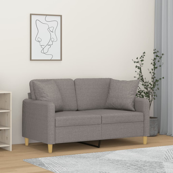 Dvivietė sofa su pagalvėlėmis, šviesiai pilka, 120cm, audinys