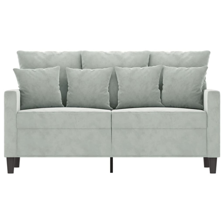 Dvivietė sofa, šviesiai pilkos spalvos, 120cm, aksomas