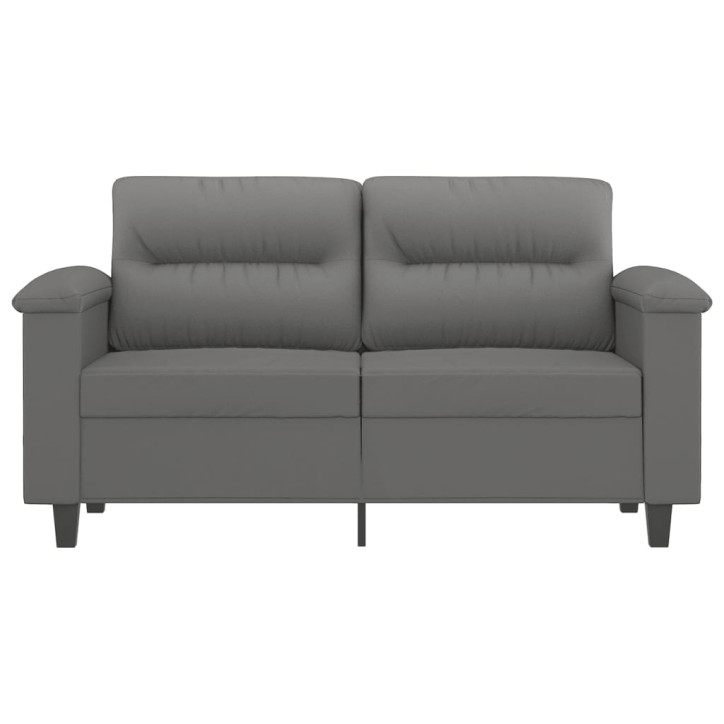 Dvivietė sofa, tamsiai pilka, 120cm, mikropluošto audinys