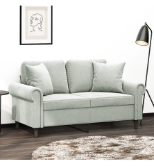 Dvivietė sofa su pagalvėlėmis, šviesiai pilka, 120cm, aksomas