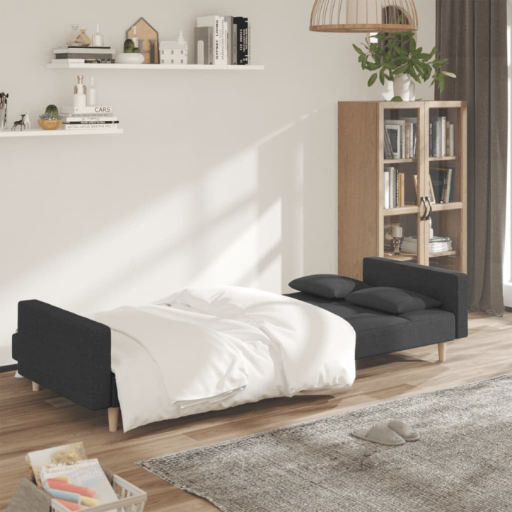 Dvivietė sofa-lova su dvejomis pagalvėmis, pilka, audinys