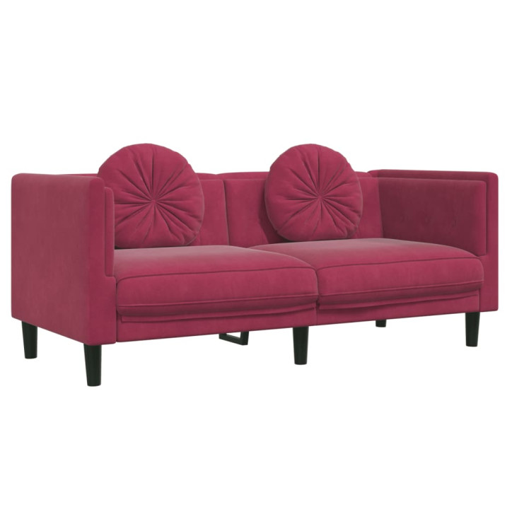 Dvivietė sofa su pagalvėlėmis, vyno raudonos spalvos, aksomas