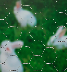 Nature Vielinis tinklas, 0,5x10m, galvanizuotas plienas, 25mm