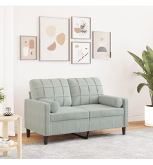 Dvivietė sofa su pagalvėlėmis, šviesiai pilka, 120cm, aksomas