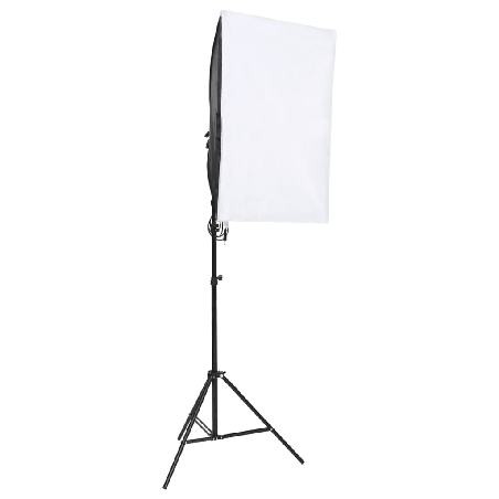 Profesionalūs fotostudijos šviestuvai, 2vnt., 40x60cm