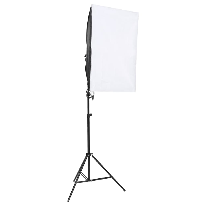 Profesionalūs fotostudijos šviestuvai, 2vnt., 40x60cm