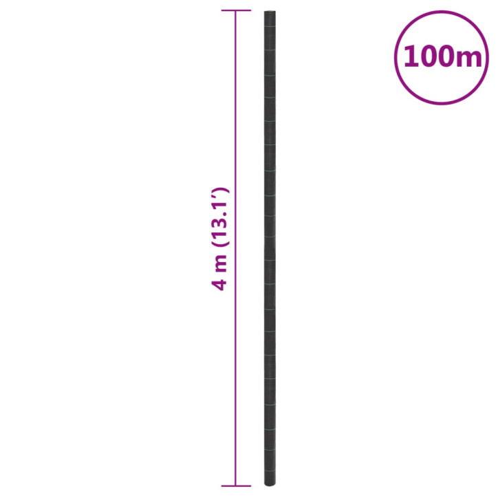 Membrana nuo piktžolių, juodos spalvos, 4x100m, PP