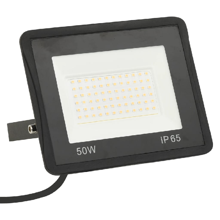 LED prožektorius, šaltos baltos spalvos, 50W