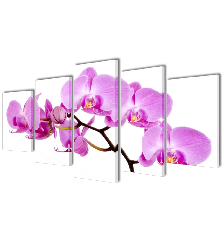 Fotopaveikslas "Orchidėjos"...