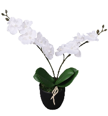 Dirbtinė orchidėja su vazonu, 30 cm, balta