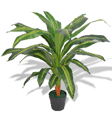 Dirbtinė Dracena su vazonu, 90 cm, žalia