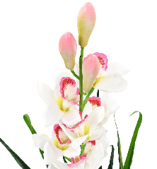 Dirbtinė Cymbidium orchidėja su vazonu, 100cm, žalia