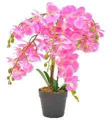 Dirbtinė orchidėja su...