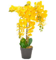 Dirbtinė orchidėja su...
