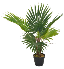 Dirbtinė palmė su vazonu,...