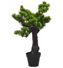 Dirbtinis pinus bonsai...