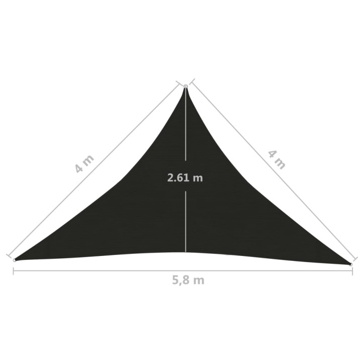 Uždanga nuo saulės, juodos spalvos, 4x4x5,8m, HDPE, 160g/m²