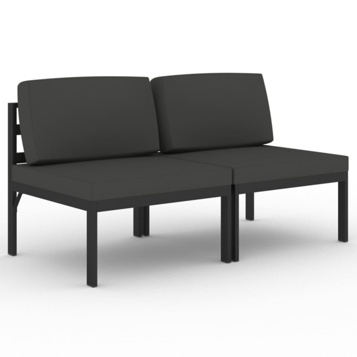 Dvivietė sodo sofa su pagalvėlėmis, antracito, aliuminis